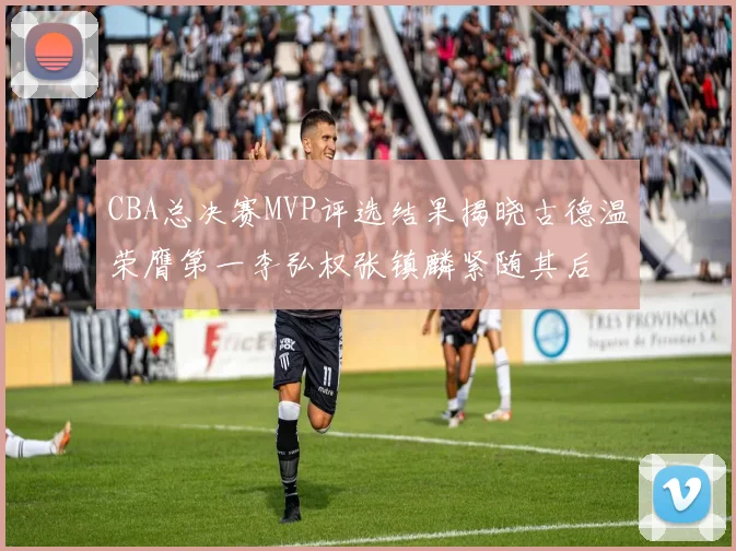 CBA总决赛MVP评选结果揭晓古德温荣膺第一李弘权张镇麟紧随其后