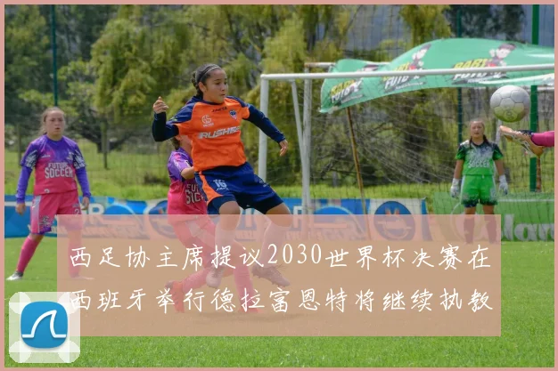 西足协主席提议2030世界杯决赛在西班牙举行德拉富恩特将继续执教国家队